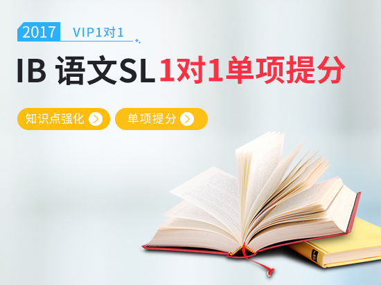 【VIP1对1】IB语文备考冲刺6+ IB语文考前冲刺课程